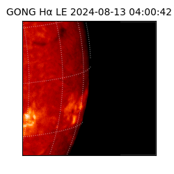 gong - 2024-08-13T04:00:42