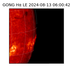 gong - 2024-08-13T06:00:42