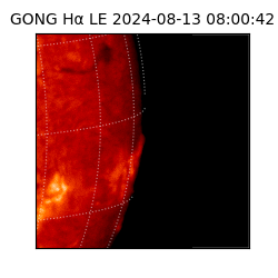 gong - 2024-08-13T08:00:42