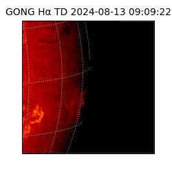 gong - 2024-08-13T09:09:22