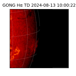 gong - 2024-08-13T10:00:22