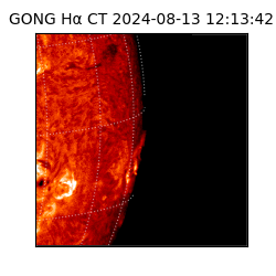 gong - 2024-08-13T12:13:42