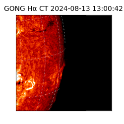 gong - 2024-08-13T13:00:42