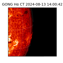 gong - 2024-08-13T14:00:42