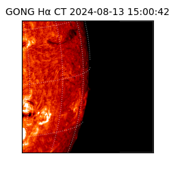 gong - 2024-08-13T15:00:42