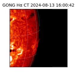gong - 2024-08-13T16:00:42