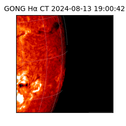 gong - 2024-08-13T19:00:42