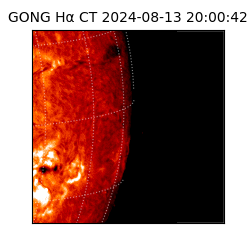 gong - 2024-08-13T20:00:42