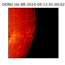 gong - 2024-08-13T01:00:02