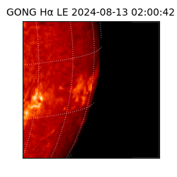 gong - 2024-08-13T02:00:42