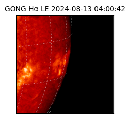 gong - 2024-08-13T04:00:42