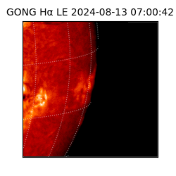 gong - 2024-08-13T07:00:42