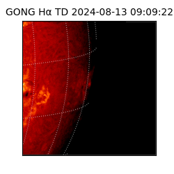 gong - 2024-08-13T09:09:22