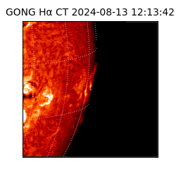 gong - 2024-08-13T12:13:42
