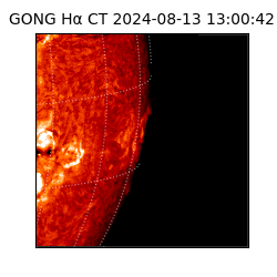 gong - 2024-08-13T13:00:42