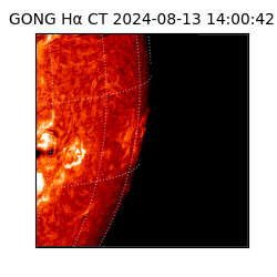 gong - 2024-08-13T14:00:42