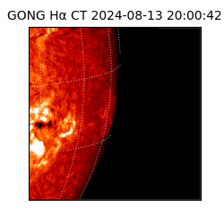 gong - 2024-08-13T20:00:42