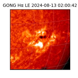 gong - 2024-08-13T02:00:42