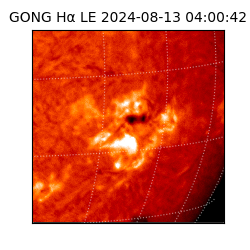 gong - 2024-08-13T04:00:42