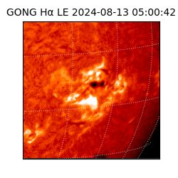 gong - 2024-08-13T05:00:42