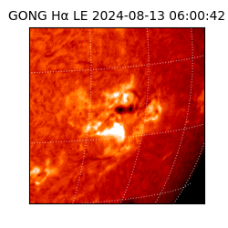 gong - 2024-08-13T06:00:42