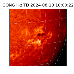 gong - 2024-08-13T10:00:22