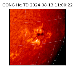gong - 2024-08-13T11:00:22