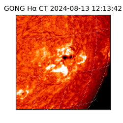 gong - 2024-08-13T12:13:42