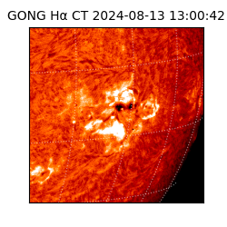 gong - 2024-08-13T13:00:42
