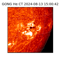 gong - 2024-08-13T15:00:42
