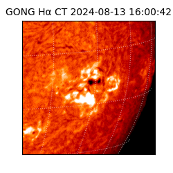 gong - 2024-08-13T16:00:42
