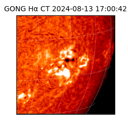 gong - 2024-08-13T17:00:42