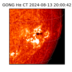 gong - 2024-08-13T20:00:42
