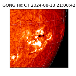 gong - 2024-08-13T21:00:42