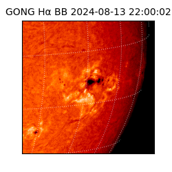gong - 2024-08-13T22:00:02