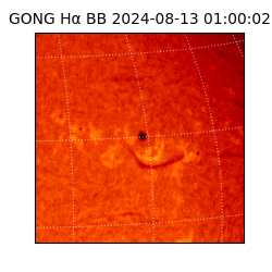 gong - 2024-08-13T01:00:02