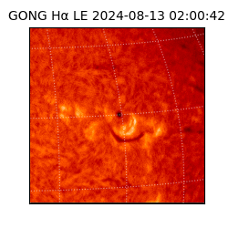 gong - 2024-08-13T02:00:42