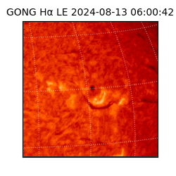 gong - 2024-08-13T06:00:42