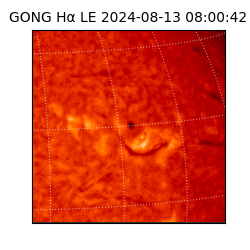 gong - 2024-08-13T08:00:42