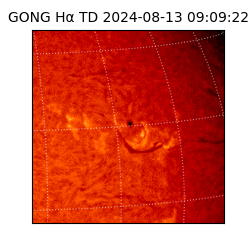 gong - 2024-08-13T09:09:22
