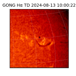 gong - 2024-08-13T10:00:22