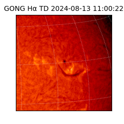 gong - 2024-08-13T11:00:22