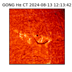 gong - 2024-08-13T12:13:42