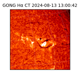 gong - 2024-08-13T13:00:42