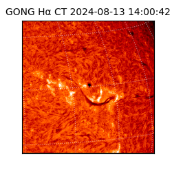 gong - 2024-08-13T14:00:42
