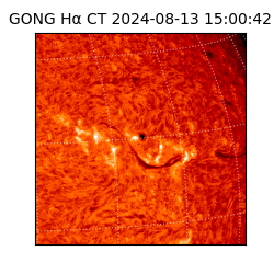 gong - 2024-08-13T15:00:42