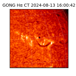 gong - 2024-08-13T16:00:42