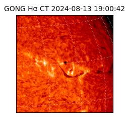 gong - 2024-08-13T19:00:42