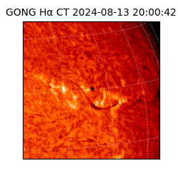 gong - 2024-08-13T20:00:42