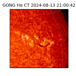 gong - 2024-08-13T21:00:42